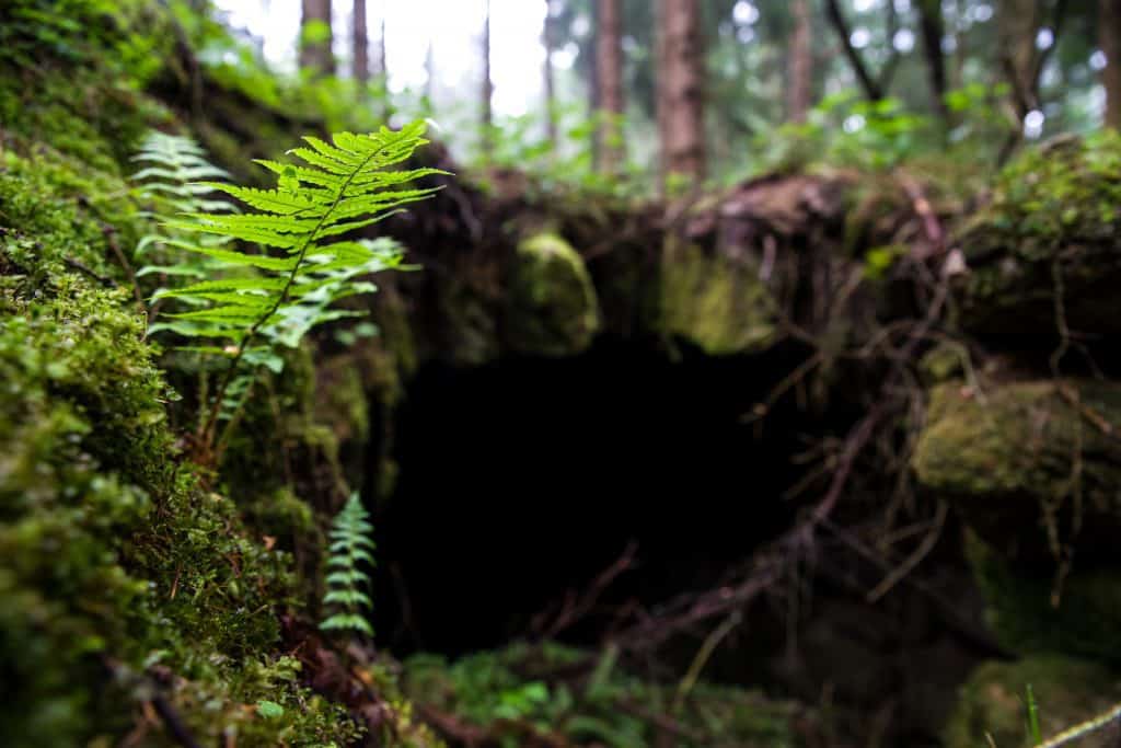 Hints of Bear Cave